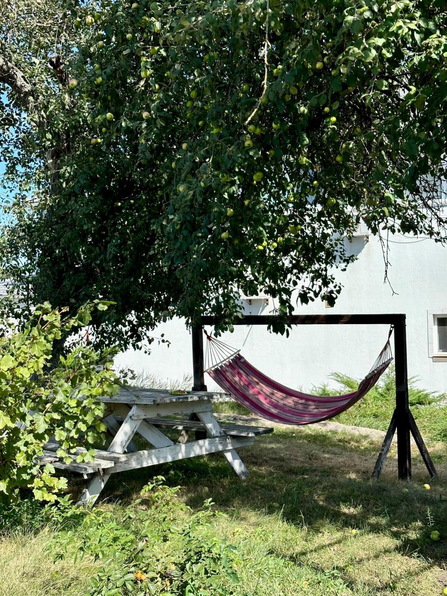 Maison Blanche Ecohousе Mytnitsa Exterior photo